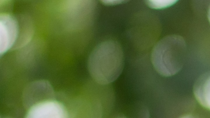 Empieza a cuidar tu salud cardiovascular al consumir la dieta portfolio.