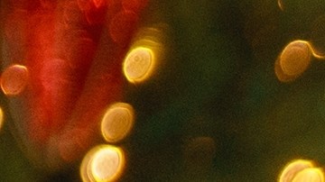 Organiza una cena de Navidad exitosa con ayuda de los consejos de una psicóloga.