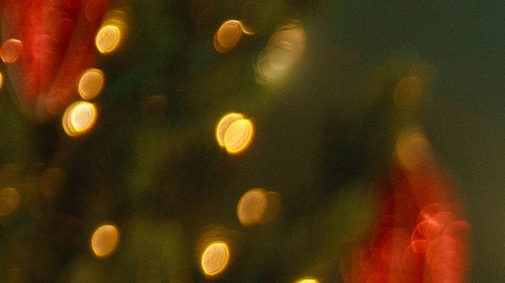 Organiza una cena de Navidad exitosa con ayuda de los consejos de una psicóloga.