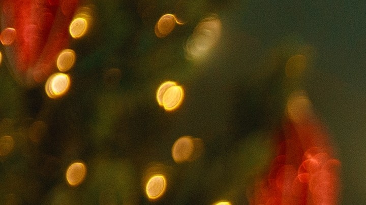 Organiza una cena de Navidad exitosa con ayuda de los consejos de una psicóloga.