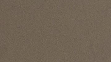 Tener plantas en el dormitorio podría ser lo que necesitas para un ambiente más limpio, relajante y acogedor.