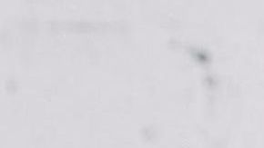 Retrato profesional de Camila Ramón, sonriente y con fondo neutro. Viste ropa deportiva y luce un gesto motivador, representando su rol como instructora de Pelotón y aliada de Aflac en la promoción de chequeos médicos para hispanos.