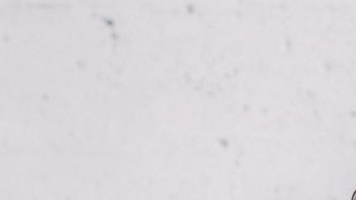 Retrato profesional de Camila Ramón, sonriente y con fondo neutro. Viste ropa deportiva y luce un gesto motivador, representando su rol como instructora de Pelotón y aliada de Aflac en la promoción de chequeos médicos para hispanos.