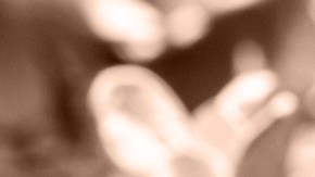 Mocha Mousse es el color del año que fue elegido por Pantone.