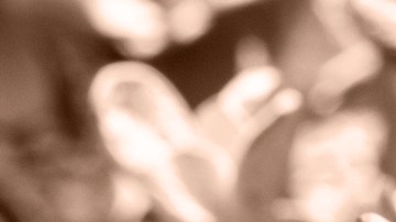 Mocha Mousse es el color del año que fue elegido por Pantone.