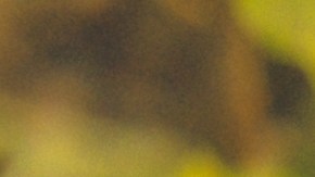 Mejora tu vida al llevar un diario de gratitud en el que puedas escribir todos los días.