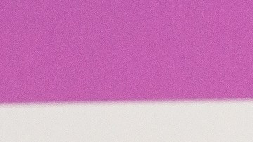 Camilo y Evaluna compartieron sus consejos para mantener algo vivo y sano.