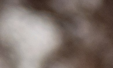 Mejora tu alimentación al incluir las dietas más recomendadas por especialistas.