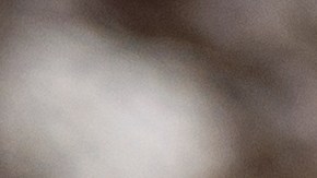 Mejora tu alimentación al incluir las dietas más recomendadas por especialistas.