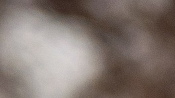 Mejora tu alimentación al incluir las dietas más recomendadas por especialistas.