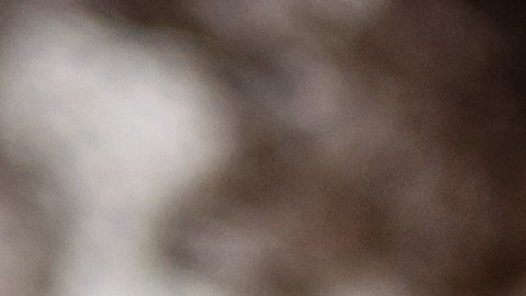 Mejora tu alimentación al incluir las dietas más recomendadas por especialistas.