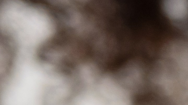 Mejora tu alimentación al incluir las dietas más recomendadas por especialistas.