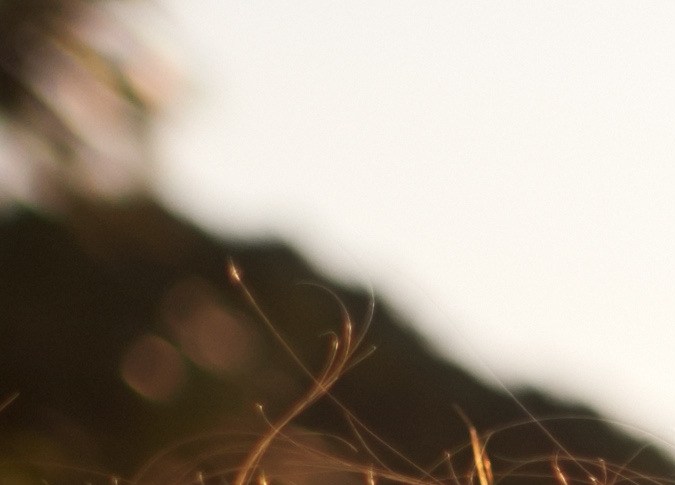 Mejora tu intuición al trabajar en tu energía femenina.