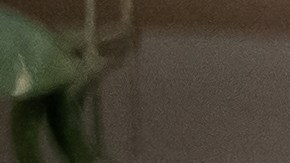 Los padres deben evitar el favoritismo para no causar consecuencias negativas en los niños.