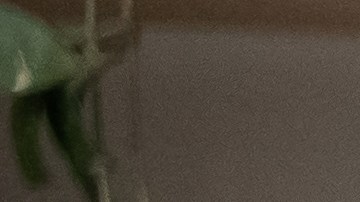 Los padres deben evitar el favoritismo para no causar consecuencias negativas en los niños.