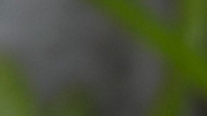 Mejora tu alimentación al preparar tu propia mayonesa saludable.