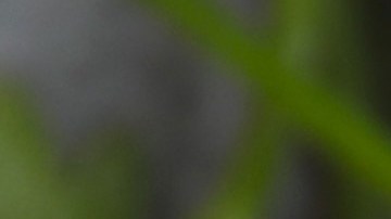 Mejora tu alimentación al preparar tu propia mayonesa saludable.