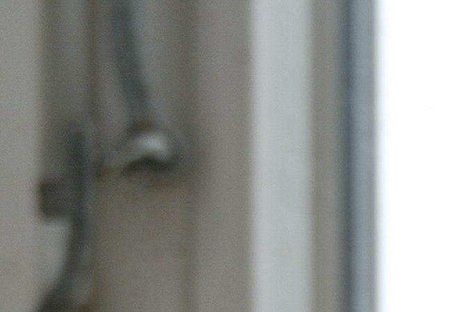 Jade es una planta que atrae el dinero, según el Feng Shui.