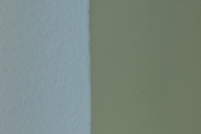 La planta china del dinero atrae la fortuna, según el Feng Shui.