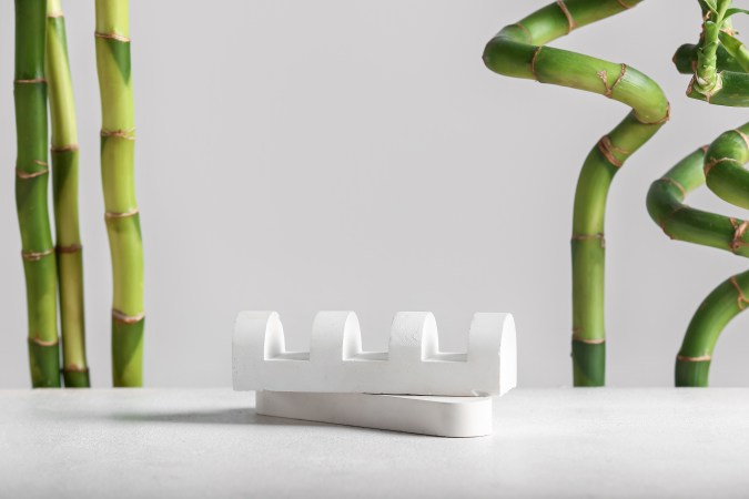 El bambú es una planta que atrae el dinero, según el Feng Shui.