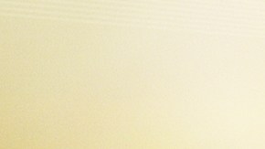 Incluye plantas en su hogar que atraigan el dinero y la fortuna.