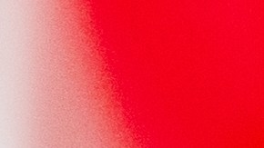 Celebra San Valentín al organizar una actividad en pareja.