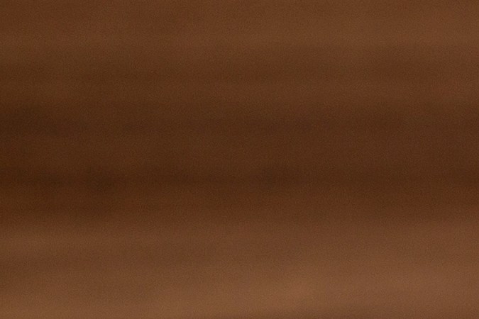 Los huevos son fuentes de proteína de origen animal.