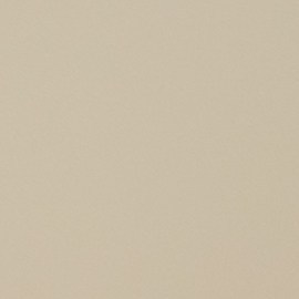 El consumo de huevos puede aportar beneficios a la salud del cerebro.