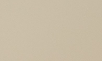 El consumo de huevos puede aportar beneficios a la salud del cerebro.