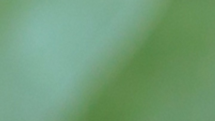 El cacao posee un componente que mejora la salud del organismo en general.