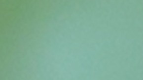 El cacao posee un componente que mejora la salud del organismo en general.