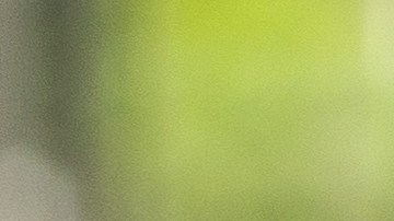 Los vasos que se dejan secar boca abajo pueden desarrollar mal olor.