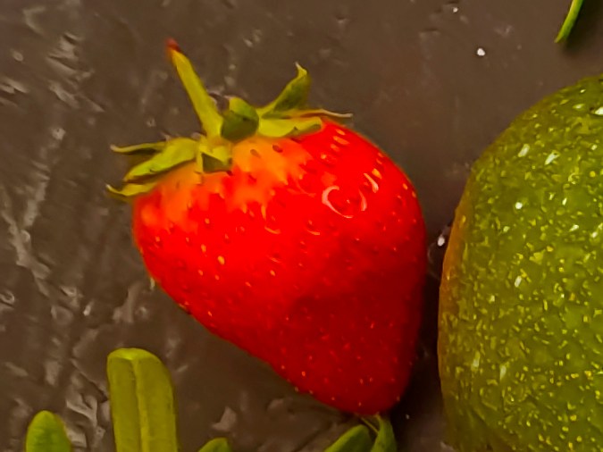 El pescado y los arándanos pueden consumirse de forma frecuente para cuidar los riñones.