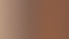 La longevidad se alcanza al mantener el organismo saludable.