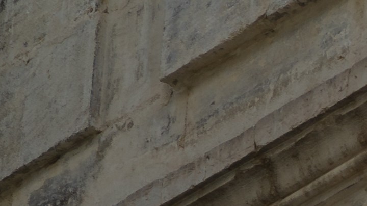 Decora tu balcón con plantas que puedan resistir el impacto de los rayos solares.