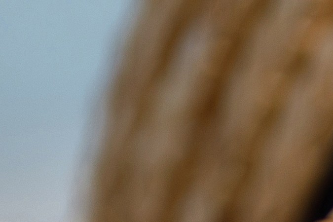 El protector solar debe usarse todos los días.