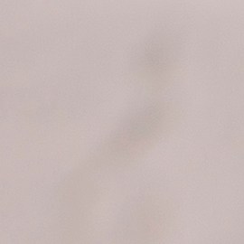 La zanahoria puede ayudar a limpiar el organismo mediante su consumo.