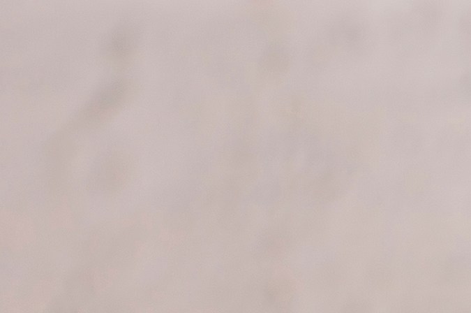 La zanahoria puede ayudar a limpiar el organismo mediante su consumo.