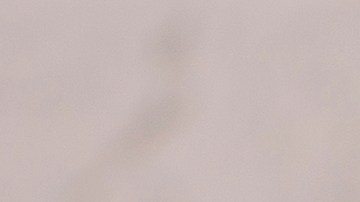 La zanahoria puede ayudar a limpiar el organismo mediante su consumo.