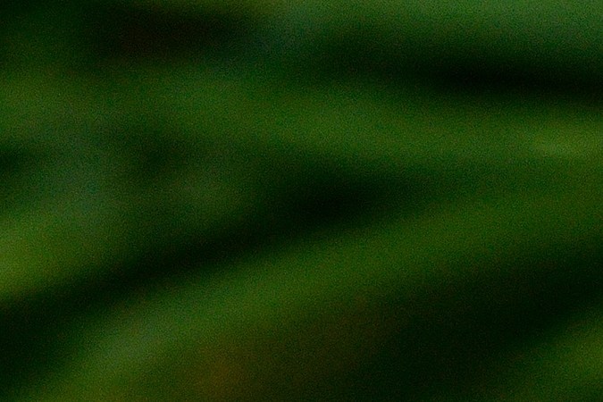 Usa petunias para decorar el balcón de tu hogar. 