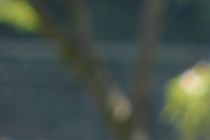 Usa la lavanda para decorar el balcón de tu hogar. 