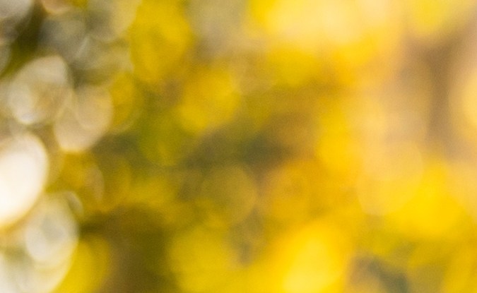 Realiza una nueva actividad y conoce personas para salir de tu zona de confort.