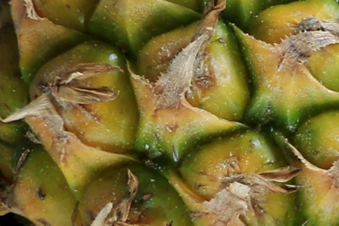 Las piñas contienen un alto contenido de vitamina C.