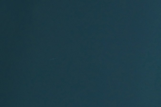 Ubica la lengua de suegra en la esquina oeste de tu hogar para atraer la buena energía. 