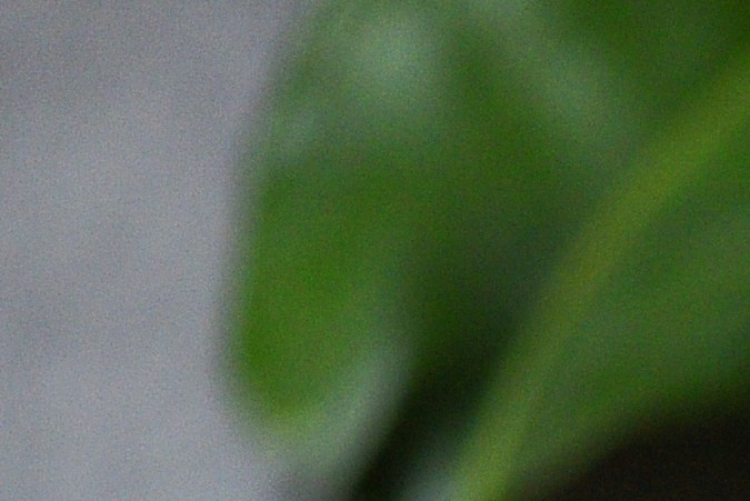 Las patas de pollo pueden prepararse de diferentes formas para consumirlas.