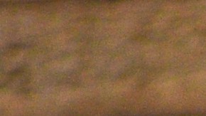 Las patas de pollo cada vez son más recomendadas para cuidar la salud.