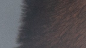 Una persona puede ayudar a su pareja en el proceso de dejar de fumar.