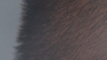 Una persona puede ayudar a su pareja en el proceso de dejar de fumar.