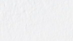 Las plantas lengua de suegra ayudan a mejorar la decoración del hogar.