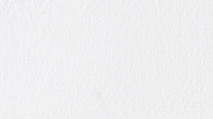 Las plantas lengua de suegra ayudan a mejorar la decoración del hogar.